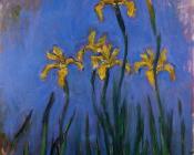 克劳德 莫奈 : Yellow Irises